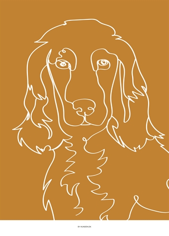 ”Cockerspaniel” A3 (30 x 42 cm) 